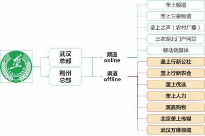 美丽乡村建设，期待广电台网协作优选信息服务